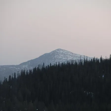 Ny Tommerhytte Vakantiehuis *