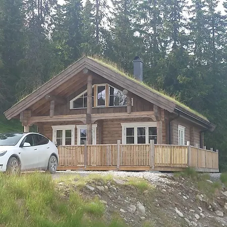 Ny Tommerhytte Holiday home Tveiten